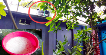 ঝিনাইদহে পানির ট্যাংকে বিষ দিয়ে শিক্ষক পরিবারকে হত্যাচেষ্টা