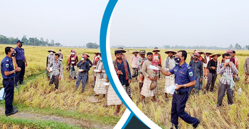 ধানকাটা শ্রমিকদের জন্য ইফতার নিয়ে মাঠে হাজির হলেন ওসি