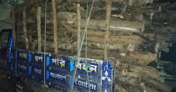 কক্সবাজারে বনবিভাগের অভিযান, বিপুল কাঠসহ ডাম্পার জব্দ