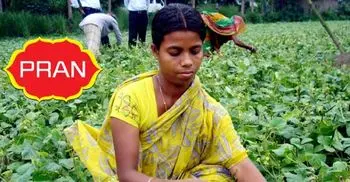 PRAN starts collecting 5,000 metric tons of mung bean from farmers