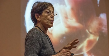 Interview: 'Most couples may have to use assisted reproduction by 2045'