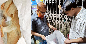 লোকালয় থেকে বিরল প্রজাতির লজ্জাবতী বানর উদ্ধার