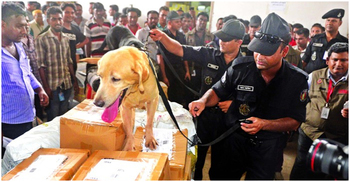 স্ক্যানিংয়ে ধরা পড়ে না অনেক মাদক, বিমানবন্দরে বসছে ডগ স্কোয়াড