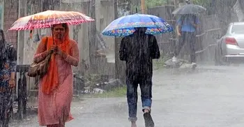 Light to moderate rain likely