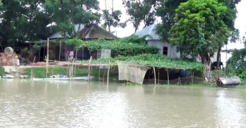 সেনগ্রামে পদ্মার পানি বিপৎসীমার ৫৭ সেমি ওপরে