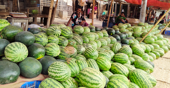 রাজশাহীতে তরমুজের কেজি ১৫ টাকা, তবু ক্রেতা সংকট