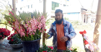 রাজবাড়ীতে গোলাপ ২০০ টাকা পিস!