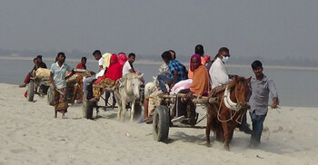 ভরসা কেবল ঘোড়ার গাড়ি