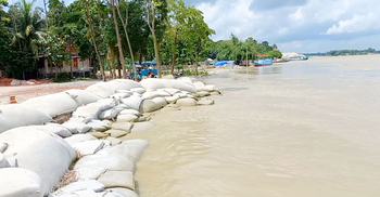পানি কমায় ভাঙন আতঙ্ক রাজবাড়ীর পদ্মা পাড়ে