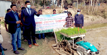 যন্ত্রে উৎসাহ বাড়াতে বিনামূল্যে ধানের চারা লাগালো কৃষি বিভাগ