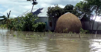 রাজবাড়ীতে ৯ হাজার পরিবার পানিবন্দি, তলিয়ে গেছে ফসল