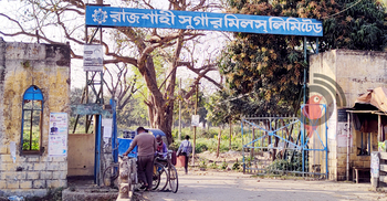 বন্ধের খবরে কমেছে চাষ, আখ সংকটে রাজশাহী চিনিকল