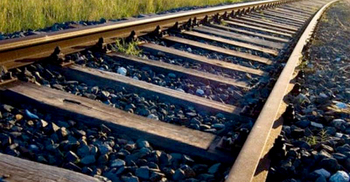 ভেড়া চরাতে গিয়ে ট্রেনে কেটে মৃত্যু