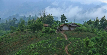 রাঙ্গামাটিতে হাম রোগে আরেক শিশুর মৃত্যু