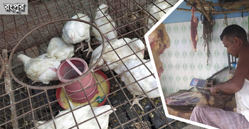 রংপুরে বেড়েছে মুরগি-গরুর মাংসের দাম