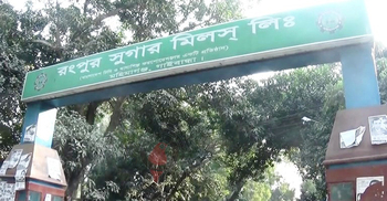 ৫১৪ কোটি টাকা লোকসানে রংপুর সুগার মিল