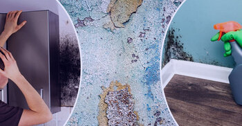 দেয়ালের ড্যাম্প দূর করার সহজ উপায়