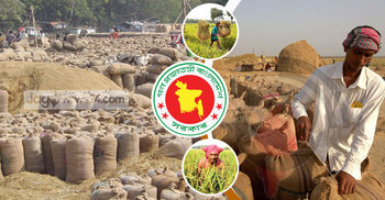 আমন সংগ্রহে লক্ষ্যমাত্রা অর্জন নিয়ে সংশয়