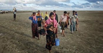 Canada, Netherlands to intervene in Rohingya case in UN