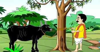 শরৎচন্দ্র পণ্ডিতের মজার ঘটনা: গরুর ছানা