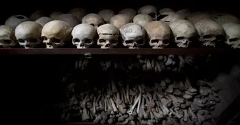 Belgium detains Rwanda genocide suspects