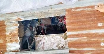 সালথায় টিনের চাল কেটে ৬ দোকানে চুরি