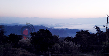 শীতের চাদরে মোড়া স্বপ্নিল সাজেক