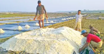 Enough salt in stock; don’t get confused by misleading info: BSCIC