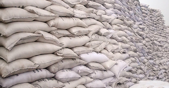 টাঙ্গাইলে প্রতি বস্তা সারে ৩০০ টাকা বেশি নিচ্ছেন ডিলাররা