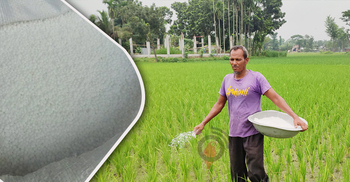 খরার ধকল শেষ না হতেই সারে নাকাল কৃষক