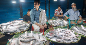 ‘টিভিতে দেখি প্রচুর ইলিশ, বাজারে এসে দেখি দাম নাগালের বাইরে’