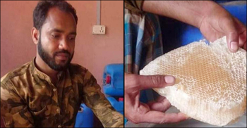 আধা কেজির সঙ্গে চিনি-ফিটকিরি মিশিয়ে দু’কেজি মধু