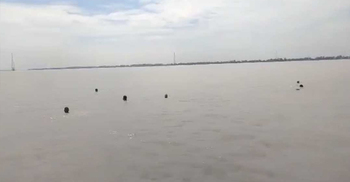 নিজ চরের পরিচিতি বাড়াতে ৫ ঘণ্টা যমুনায় সাঁতরালেন ৫ যুবক
