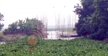 সাঁথিয়ায় সোঁতি বাঁধ, ১০ বিলের পানি নিষ্কাশন ব্যাহত