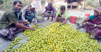 কুলে আয় ৬ কোটি ৭৬ লাখ টাকা
