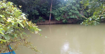 ঘূর্ণিঝড় ‘বুলবুল’র প্রভাবে সাতক্ষীরায় বৃষ্টি