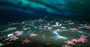 First active leak of sea-bed methane discovered