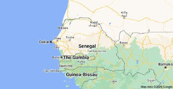 11 newborn babies die in Senegal hospital fire