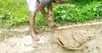 ইট তুলে নেয়া সেই ইউপি চেয়ারম্যানের বিরুদ্ধে তদন্ত কমিটি