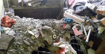 2 brothers among 3 killed in N’ganj septic tank blast