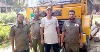শায়েস্তাগঞ্জে চোরাই কাঠভর্তি ট্রাক জব্দ
