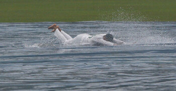 Play-less day three of Bangladesh-Pakistan Test in Dhaka washed out