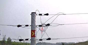 ভেস্তে গেছে হাতি তাড়ানোর বৈদ্যুতিক বেড়া