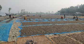 শুঁটকি পল্লীতে মন্দার হাওয়া