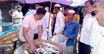তিন মণ ইলিশ গেলো এতিমখানায়, ব্যবসায়ী গুনলেন জরিমানা