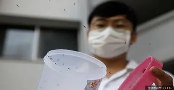 Singapore battles record dengue outbreak