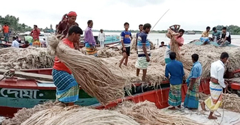 নৌকায় জমেছে পাটের হাট, দাম নিয়ে হতাশ চাষিরা