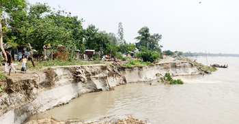 সিরাজগঞ্জে যমুনার গর্ভে ২৫ বাড়িঘর বিলীন