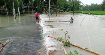 সিরাজগঞ্জে বাড়ছে যমুনার পানি, তলিয়ে গেছে সড়ক-ঘরবাড়ি