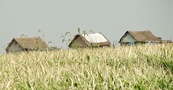 হাওরের খাদ্য সৈনিকদের খোঁজ রাখে না কেউ